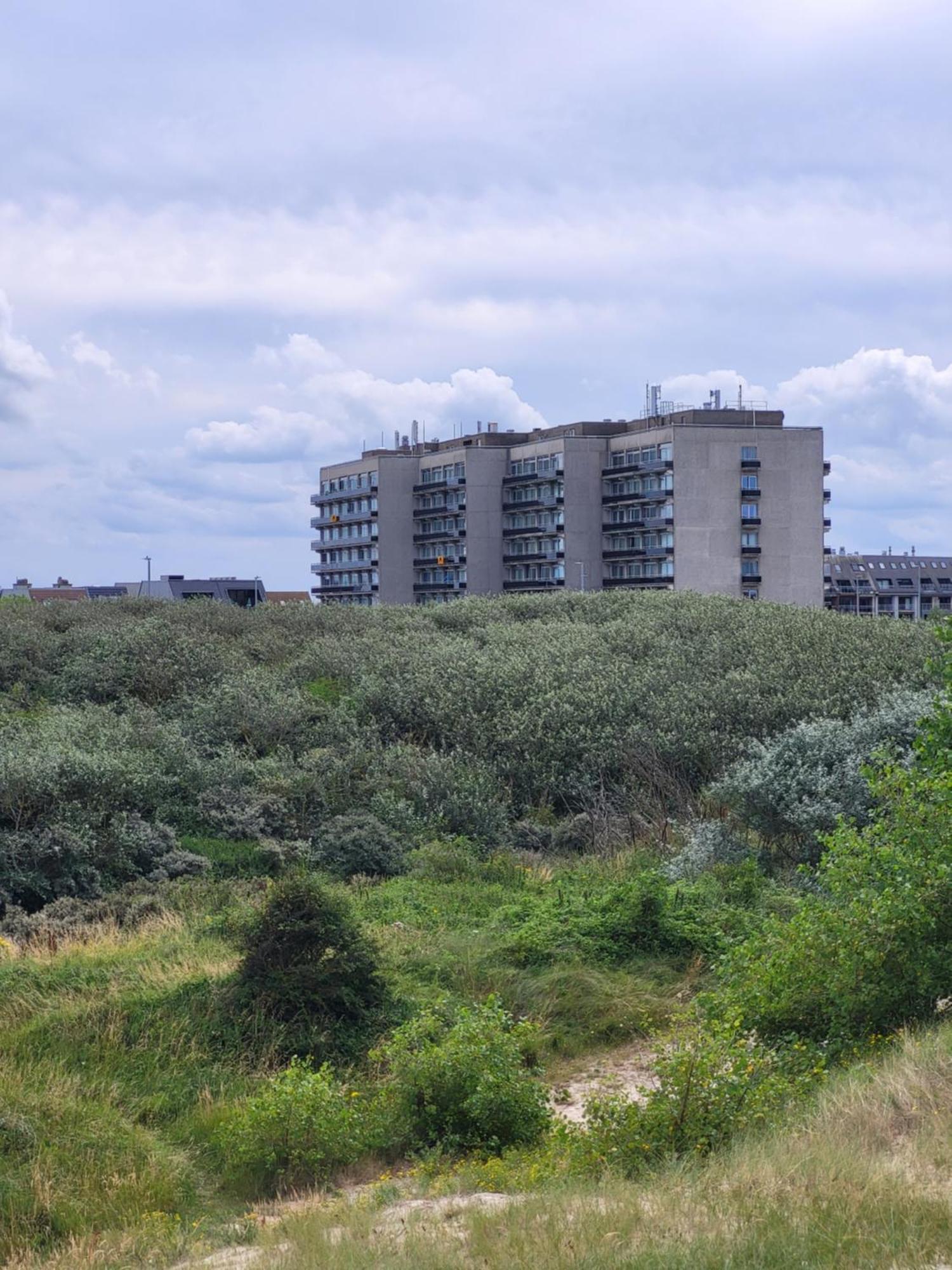 Studio with View Bredene Exterior foto